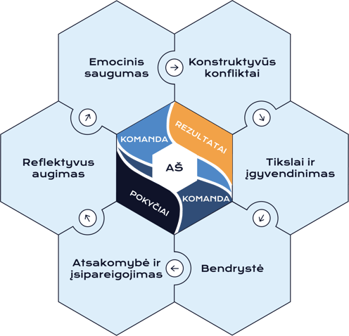 Meta lyderystės modelis