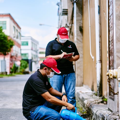 Sarawak ants control, general pest control sibu bintulu kuching miri