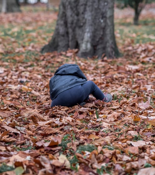 Bambin jouant assis dans les feuilles mortes