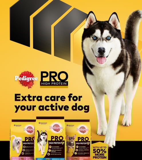"Pedigree Pro High Protein campaign visual featuring a smiling Siberian Husky and a lineup of Pedigr