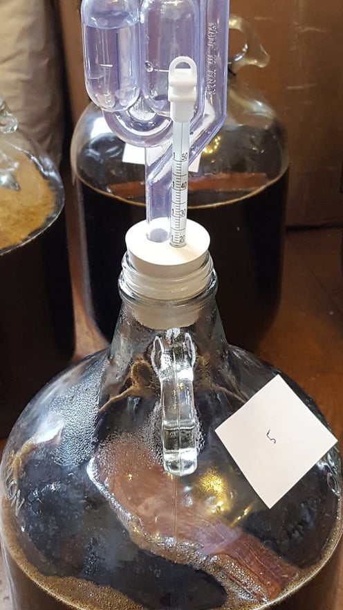Fermentation of molasses