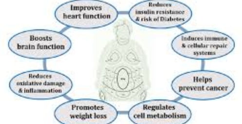 fasting effrct