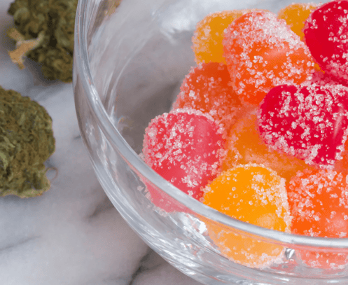 a bowl of gummy gummy gummy gummy gummy gummy gum