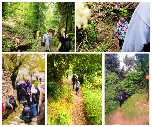 guided herbal walks at Portaria, Tsagkarada and Stagiates with medical herbalist Emmanouil Manos