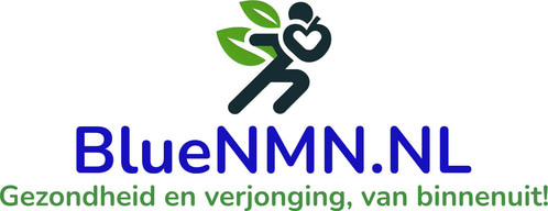 BLUENMN.NL logo