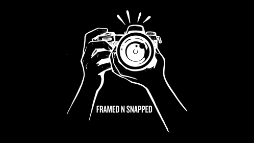 Framed N Snapped logo