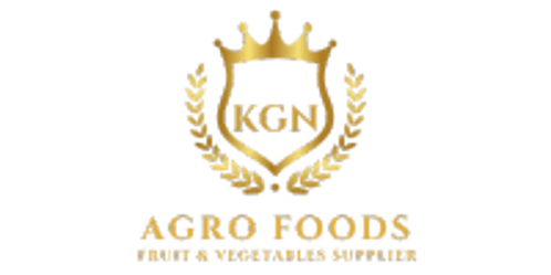 KGN AGRO FOODS logo
