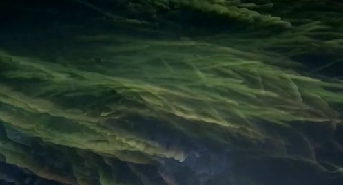 digital art, video installation,  joanna wlaszyn