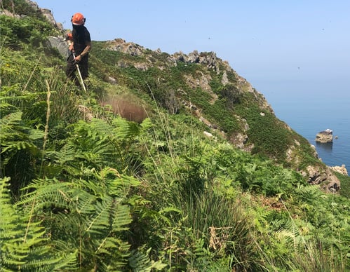 land_culture_services_conservation