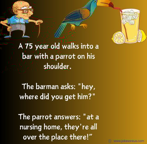 75 year old with a parrot on his shoulder walks into a bar