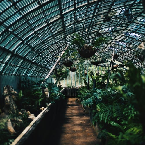 Greenhouse Interior