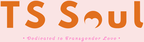 TS Soul logo