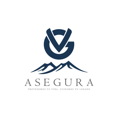 VG ASEGURA logo