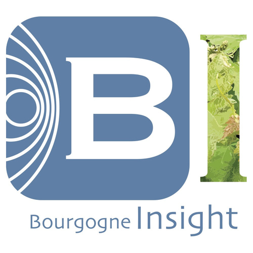 Bourgogne Insight logo