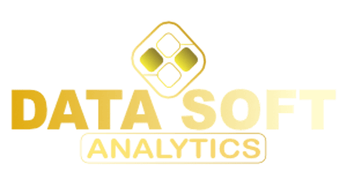 Data Software Analytics logo