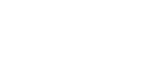 Leadimo logo