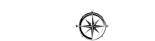 Visors Security logo