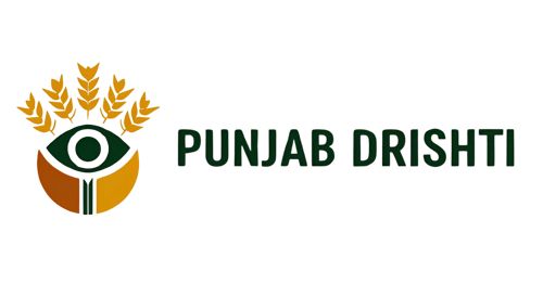 Punjab Drishti logo