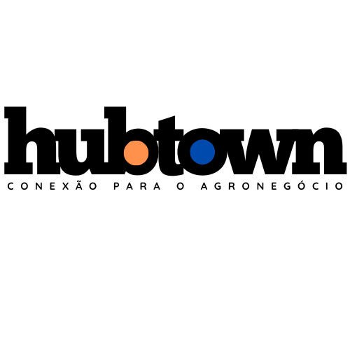 hubtown.com.br logo