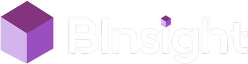 BInsight Tecnologia logo