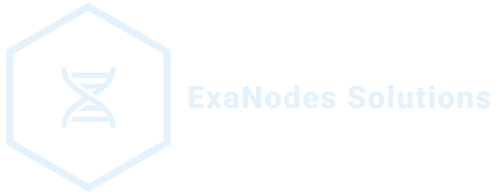 ExaNodes Solutions logo