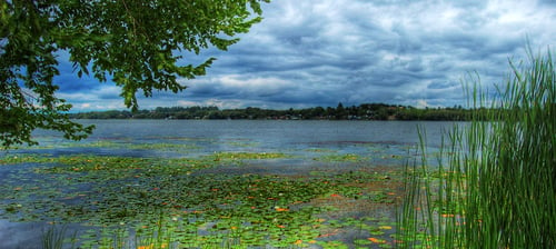 A large wetland evaluated in Ontario by Environmental Consultants at Aster Environmental.