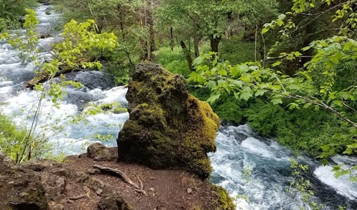 Eugene, OR - Tamolitch Falls roars down the McKenzie River seen from the trail