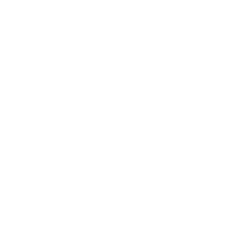 logo wordpress blanc png