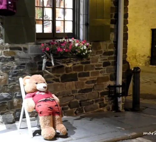 Ourson assis dans la rue.