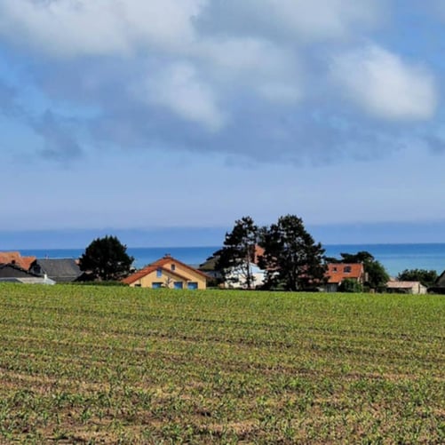 Quiberville sur mer quad cf moto