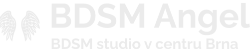 BDSM Angel logo