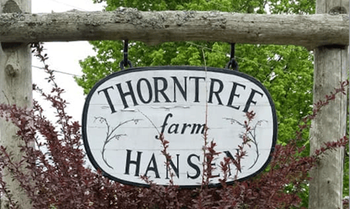 Thorntree Farm VT logo