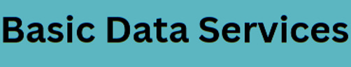 Basic Data Services logo