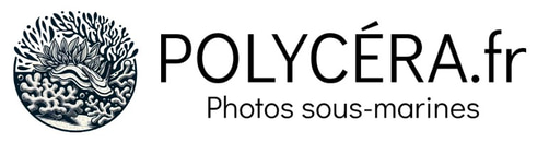 CDPV 22 logo