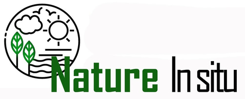 Nature In situ - Dr Caroline Law  - Environmental consulting logo