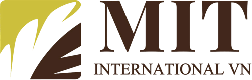 MIT INTERNATIONAL VN COMPANY LIMITED logo