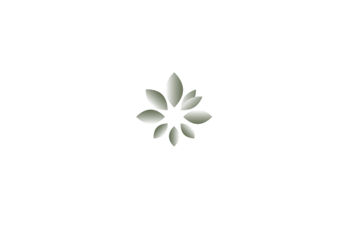 Žemiška logotipo ir vizualinio identiteto kūrimas. Rasa Macevičiūtė. Rasamace