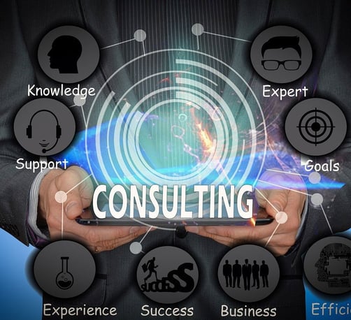 software implementation consultant