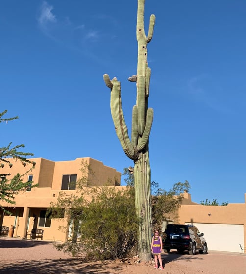 apache junction arizona, superstition mountains, desert, vacation, snow cones, poolside fun