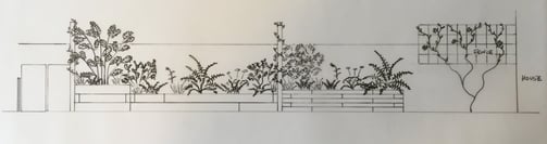 black-and-white front-view sketch of planting and raised beds in shade