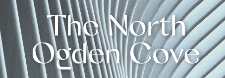 a book cover with a white background and a white background