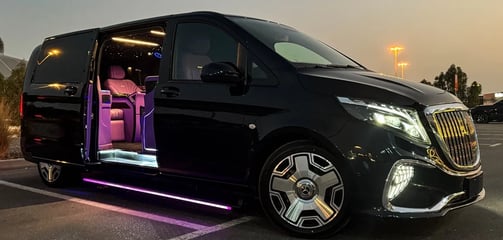 Bodrum Vito Private Tur