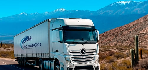 Camión de Pro Cargo recorriendo las zona del norte de Argentina