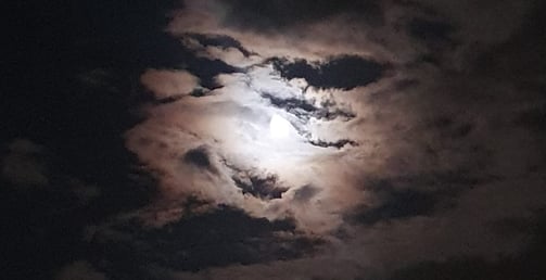 a moon light over Lake Köyceğiz