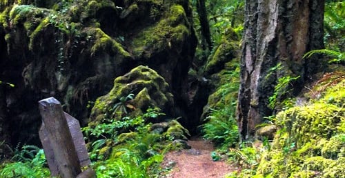 Waterfall Hwy, OR - Fall Creek Falls trail goes thru a dark cave, like a spooky Halloween scene