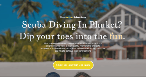 Homepage and Landing page copywriting