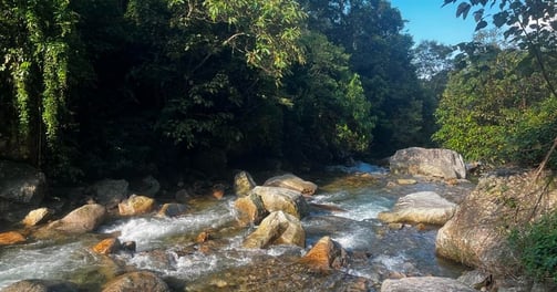 Mountain torrent Lai Chau North Vietnam