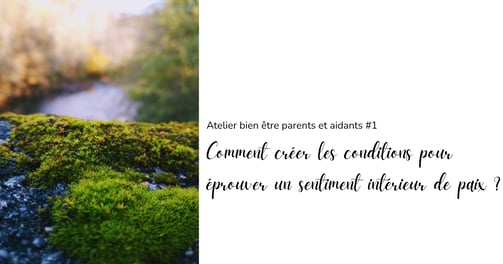Vue sur la rivière - Visuel de l'atelier 1 sur la paix en soi