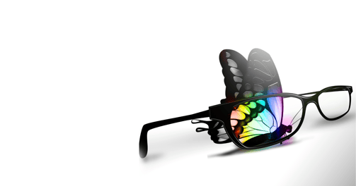 a pair of butterfly wings with a butterfly on it