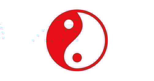 finding balance between dualities is the main purpose of yin yoga, bringing balance to life